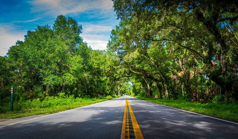 The Best Time to Experience the Drive