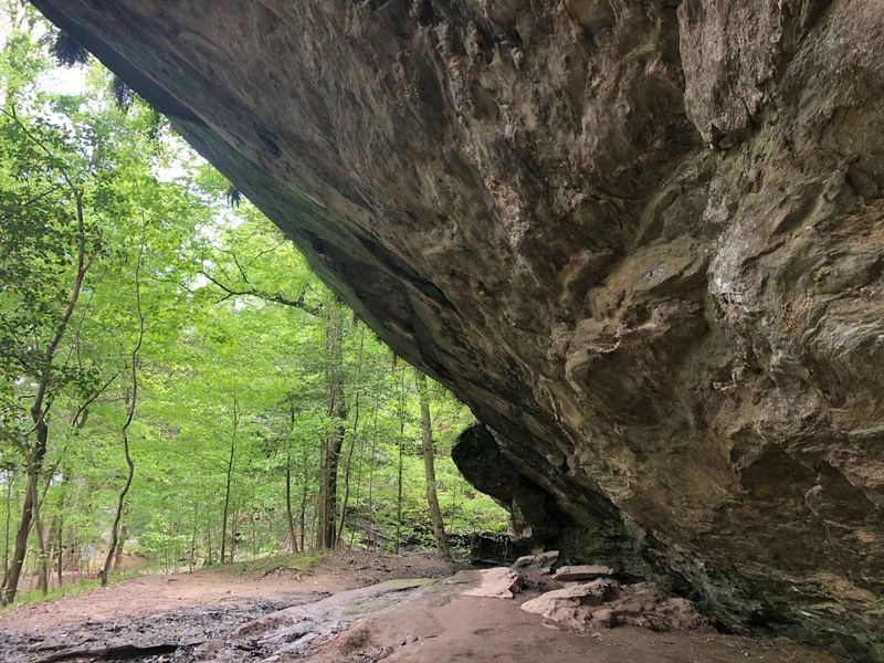 Raven Rock State Park - Lillington, Harnett County