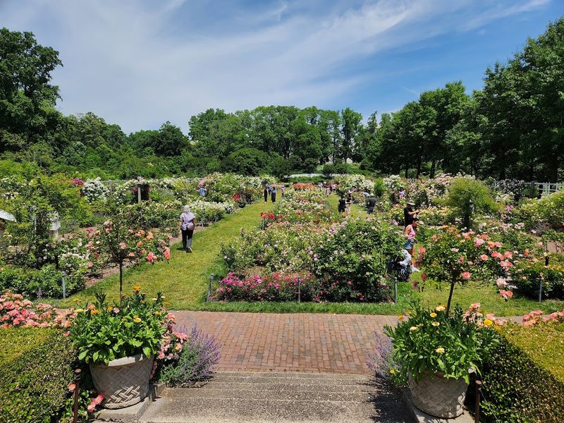 Brooklyn Botanic Garden