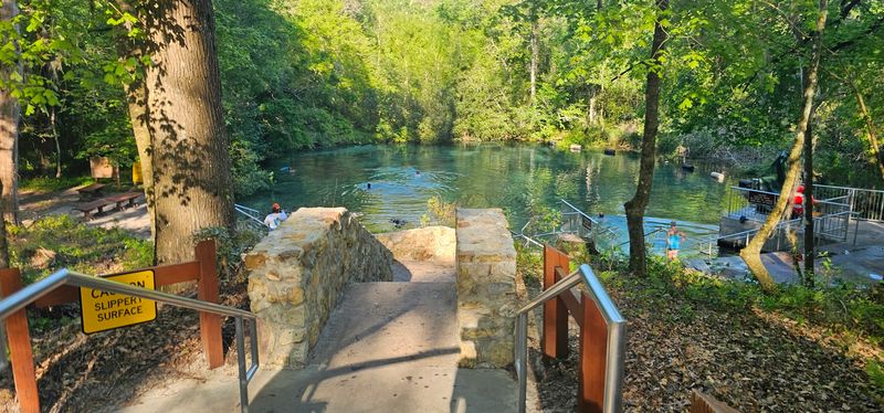 Ichetucknee River - Fort White, Columbia County,