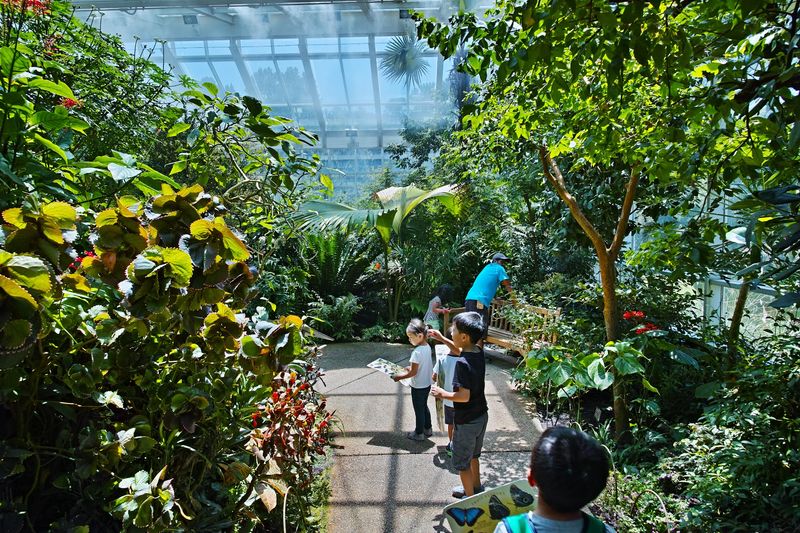 Museum of Life and Science (Durham)