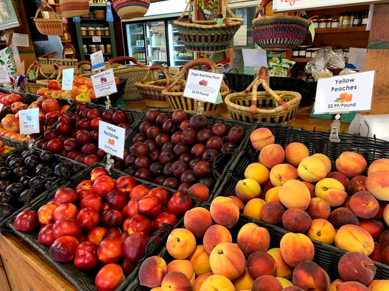Kimball Fruit Farm - Pepperell, Middlesex County