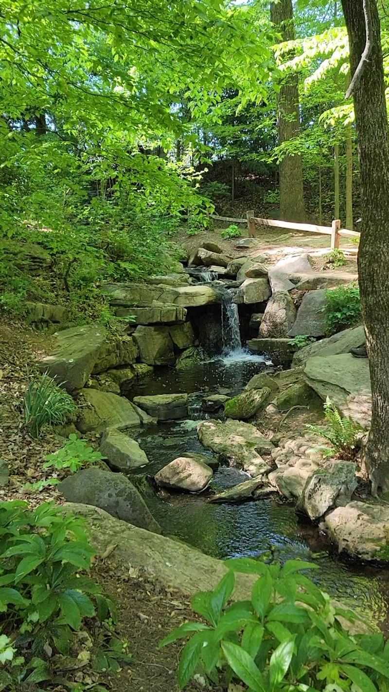The Bog Garden at Benjamin Park &mdash; Greensboro