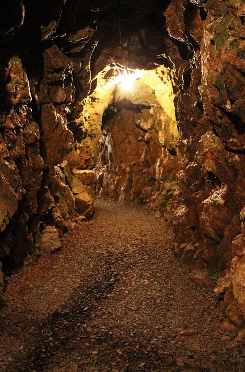 Reed Gold Mine State Historic Site