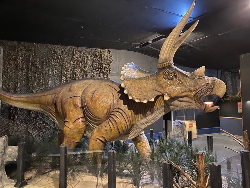 Schiele Museum of Natural History - Gastonia