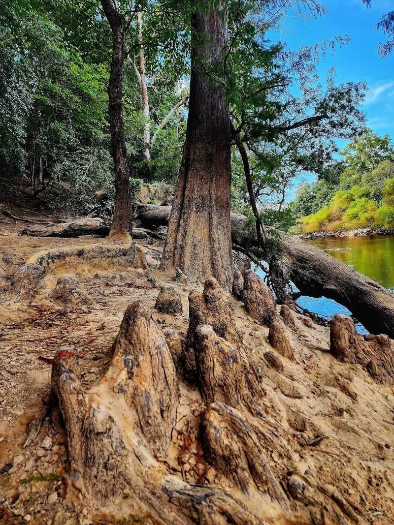 The Dramatic 90-Foot River Bluffs