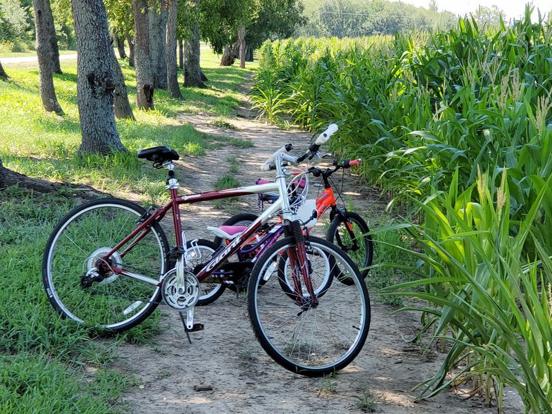 Simon Kenton Trail
