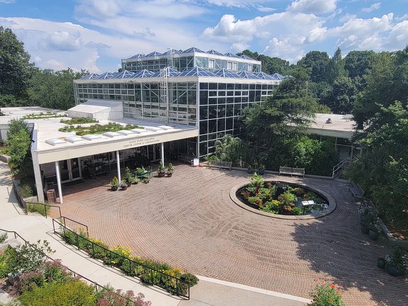 Sunflower Concert Series - State Botanical Garden of Georgia, Athens