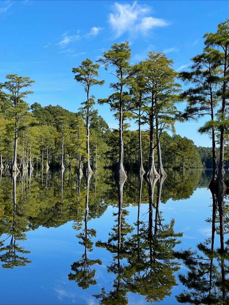 Cheraw State Park, Cheraw, Chesterfield County