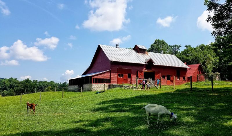 Carl Sandburg Home - Flat Rock, Henderson County