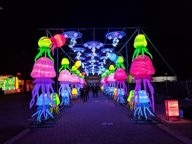 Ohio State Fair, Columbus, Franklin County