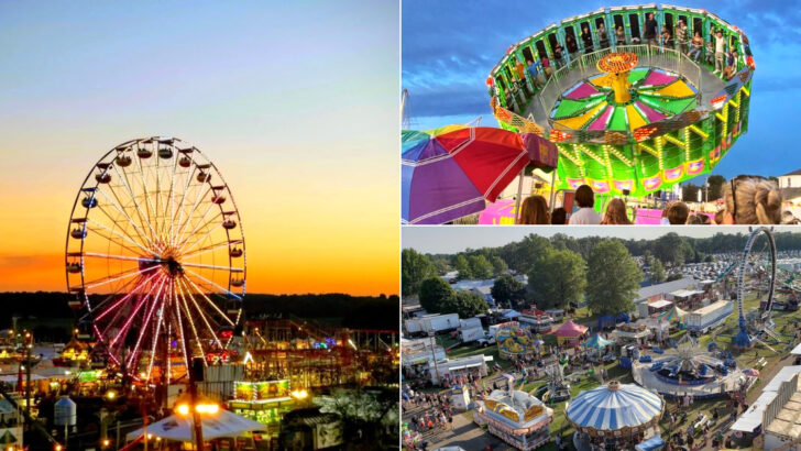 Ohio Has 10 County Fairs You&rsquo;ll Be Talking About Long After Summer Ends