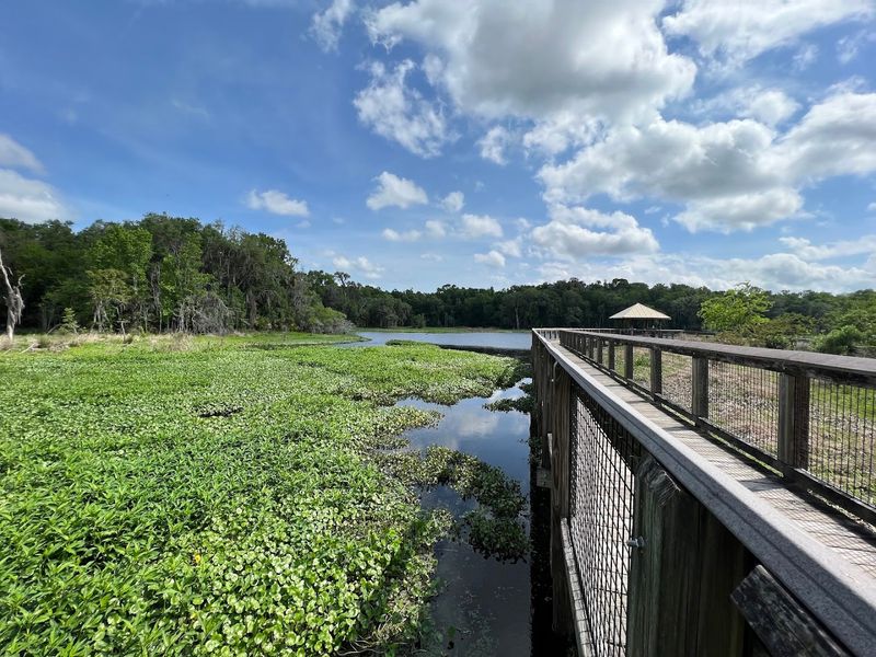 Pines and Prairies Scenic Drive - Gainesville, Alachua County