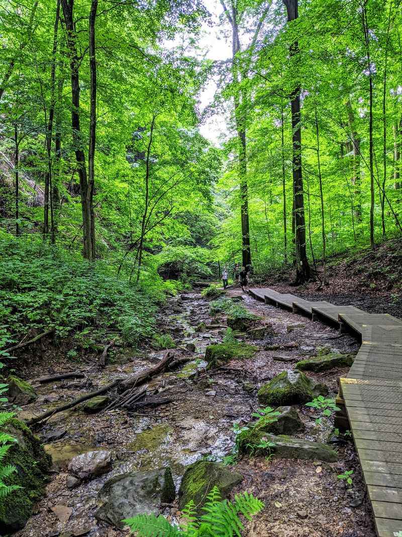 Mohican State Park, Loudonville, Ashland County