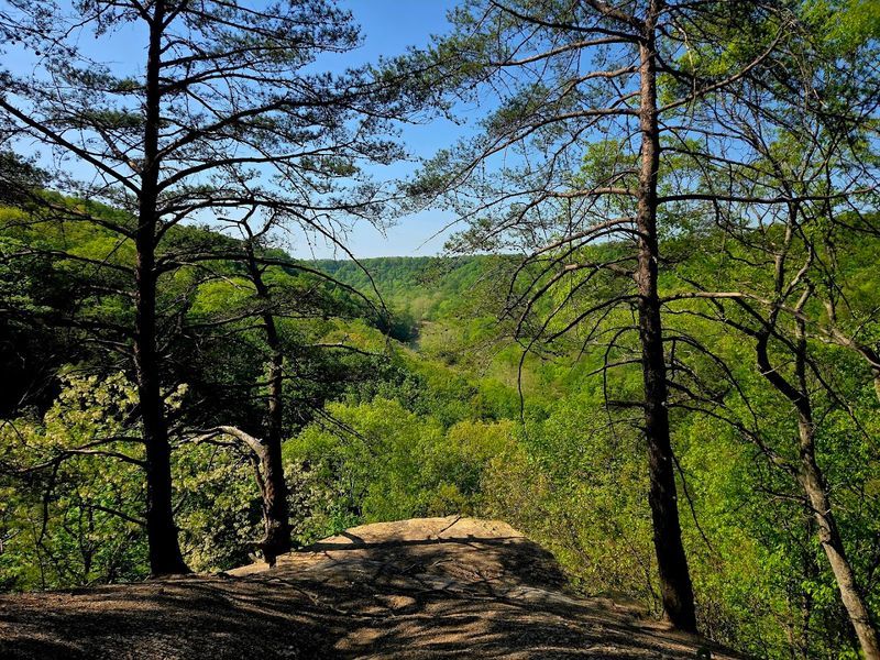 Buzzard's Roost, Chillicothe, Ross County