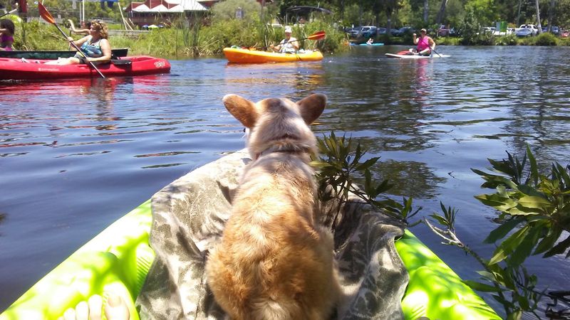 Weeki Wachee Springs - Weeki Wachee, Hernando County