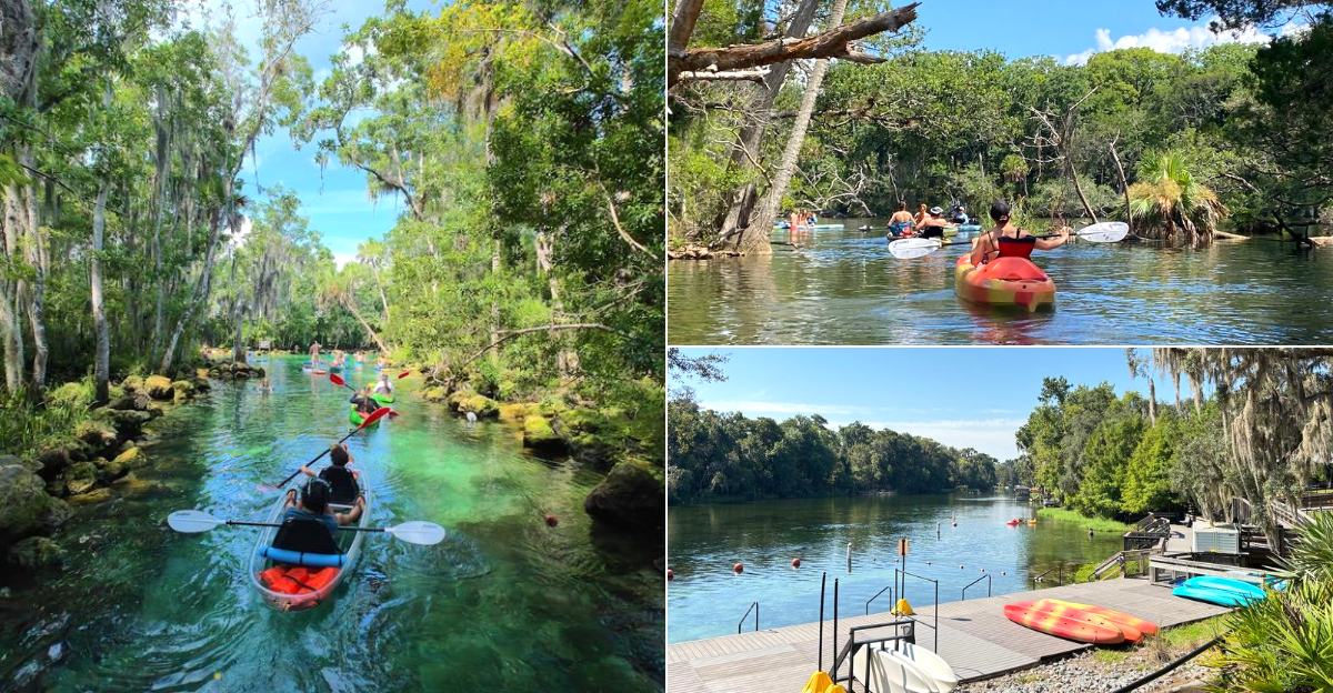 One Day On The Water Wasn’t Enough After Finding These 11 Florida Paddleboarding Spots