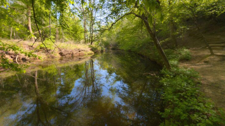 One Of North Carolina&rsquo;s Highest Hills Offers Surprisingly Spectacular Summit Views