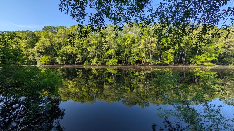Congaree National Park, Hopkins, Richland County
