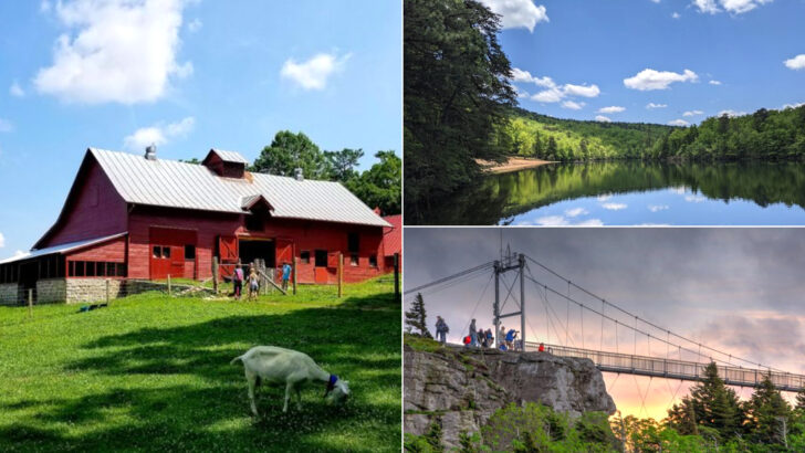 One Visit To These 11 North Carolina Attractions Was All It Took To Win Us Over