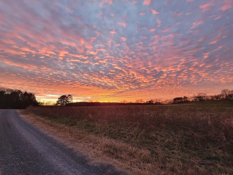 Over 50,000 Acres of Wild Beauty