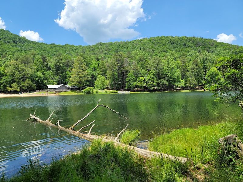 Vogel State Park - Blairsville