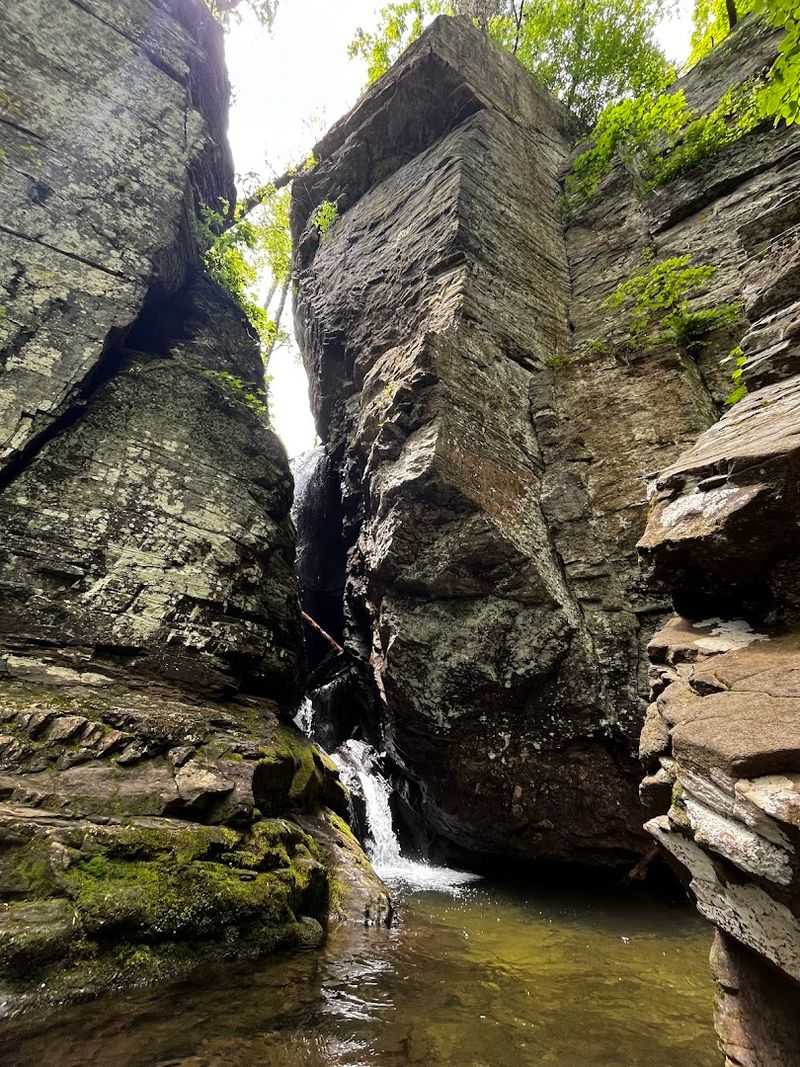 Chattahoochee National Forest  - Chatsworth, Murray County