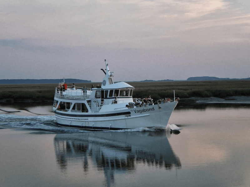 Vagabond Cruise