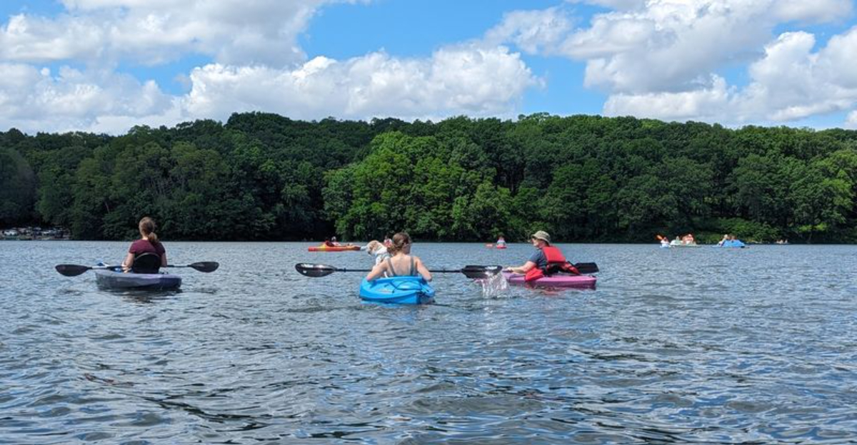 Paddling Across A 900-Acre Lake Surrounded By Forest Makes This Iowa State Park A Summer Favorite