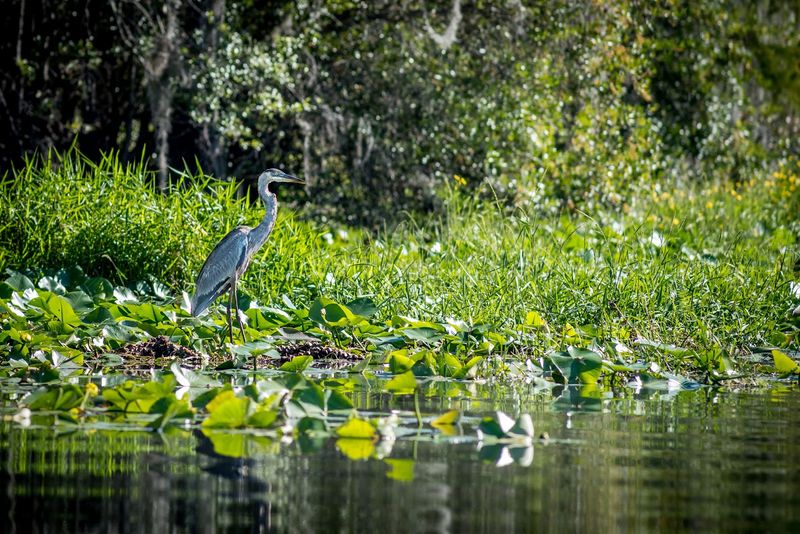 Trails, Wildlife, And Quiet Surprises