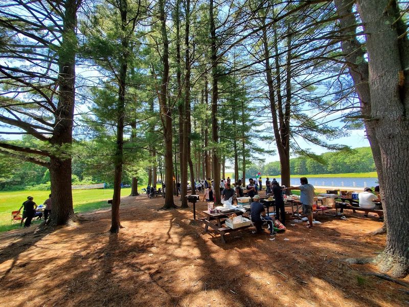 Picnics, Grills, And Group Hangouts