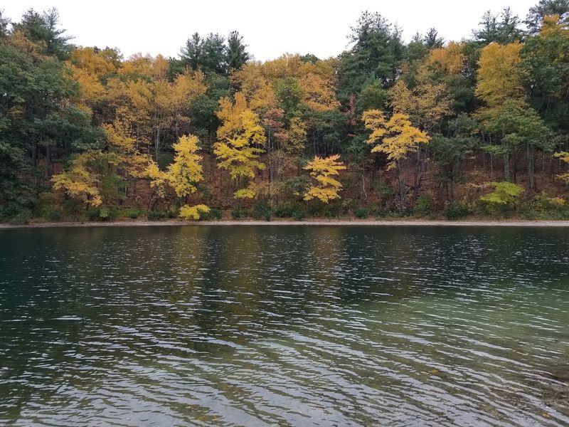 The Quiet Beauty Around The Shore