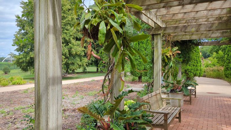 Reiman Gardens