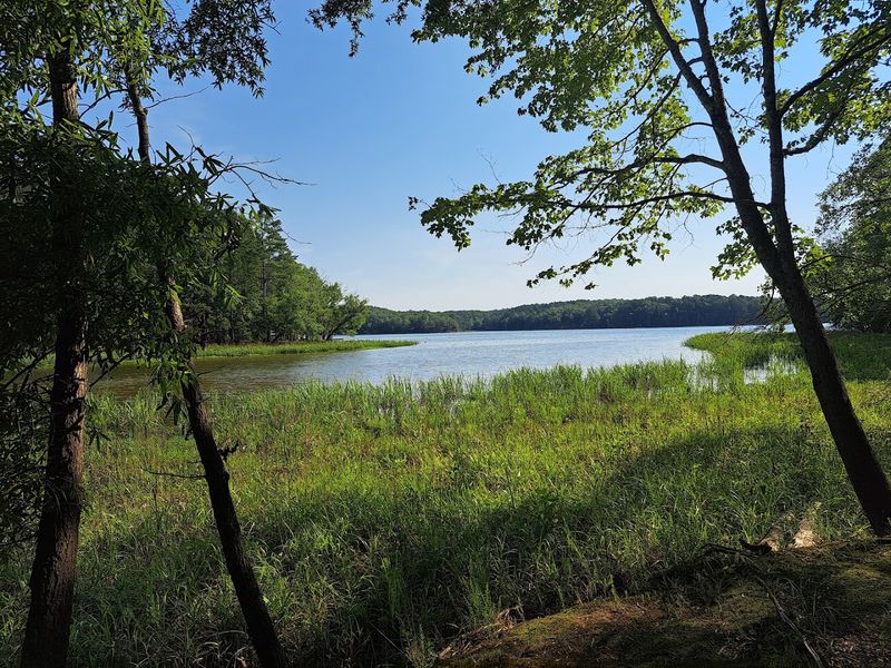 Lake Wateree State Park - Winnsboro, Fairfield County