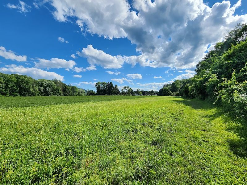 Arcadia Wildlife Sanctuary - Easthampton and Northampton, Hampshire County