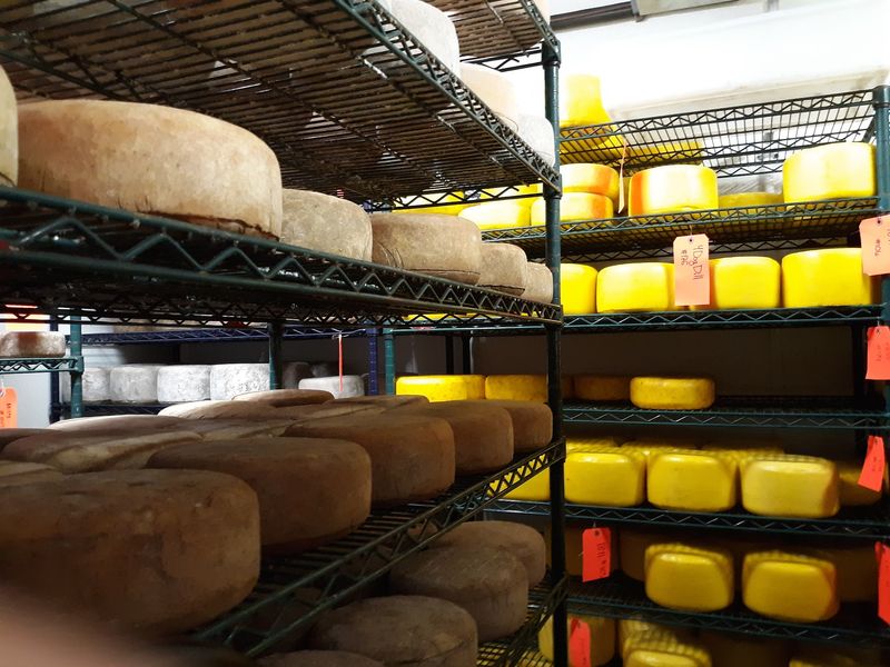 Quiet Country Reward at Calkins Creamery