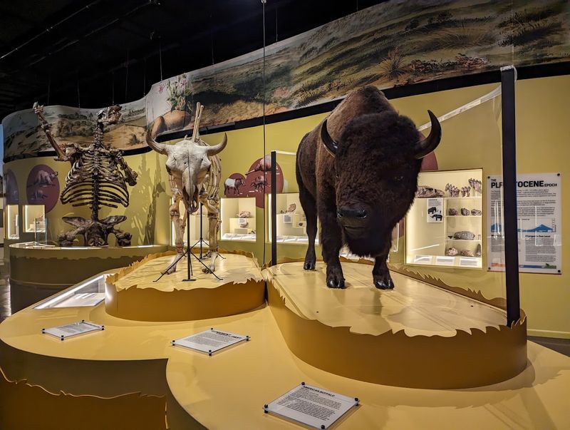The Charleston Museum
