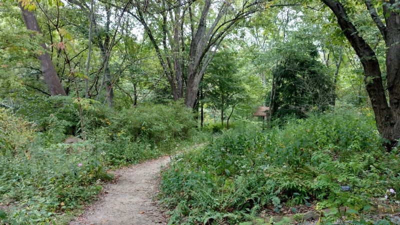 Asheville Botanical Garden &mdash; Asheville