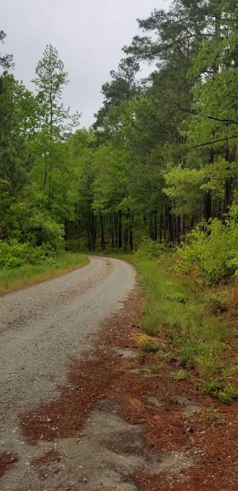 Enoree Passage (Palmetto Trail)