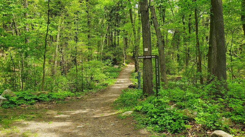 Challenging Ridge Trail Adventures