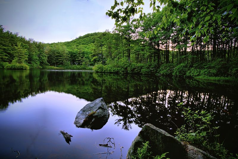Crow Hill Pond Beach (Leominster State Forest) - Leominster