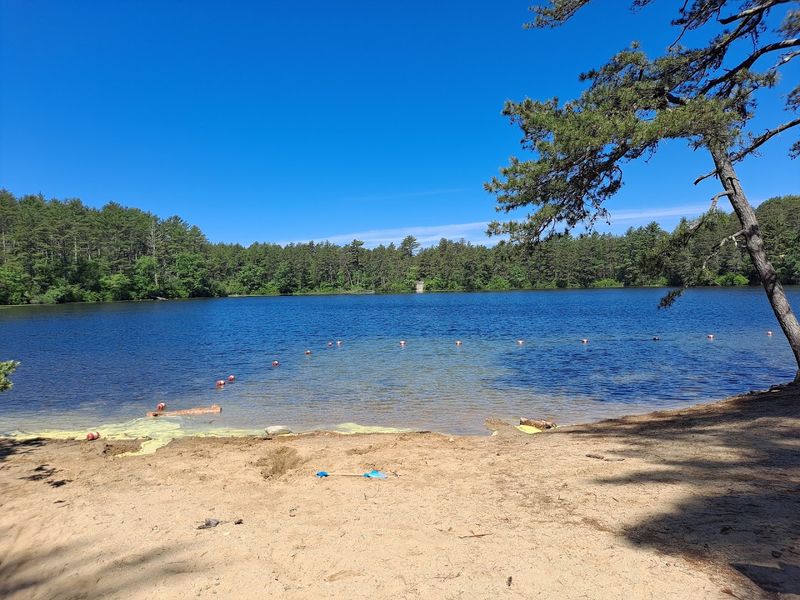 Myles Standish State Forest - College Pond - Carver
