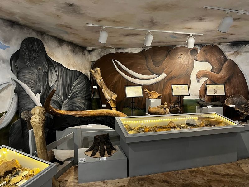 Sanford Museum and Planetarium