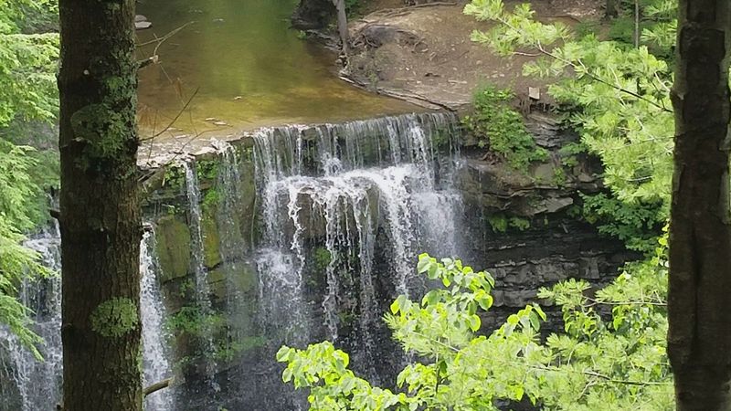 Plotterkill Preserve Trail - Rotterdam, Schenectady County