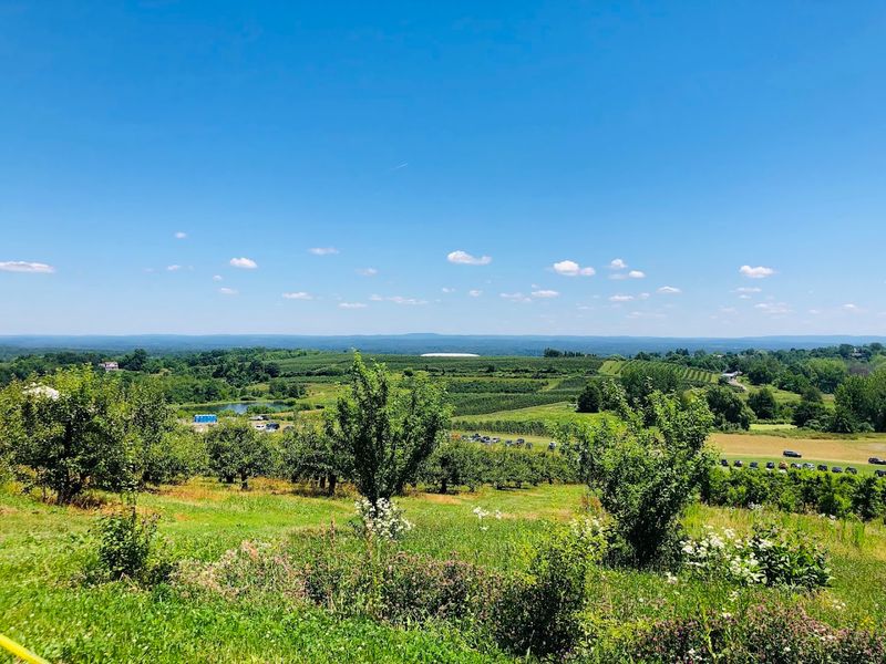 Prospect Hill Orchards, Milton, Ulster County