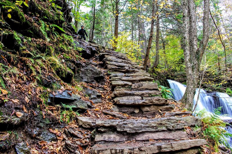 Ricketts Glen State Park – A Fantasy Forest Filled With Waterfalls