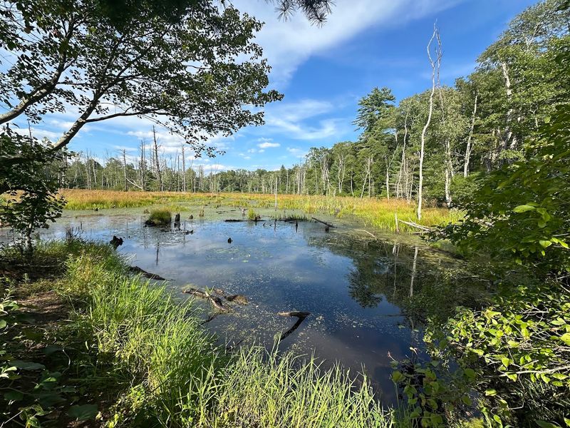 Discover One Of Central Massachusetts' Hidden Gems