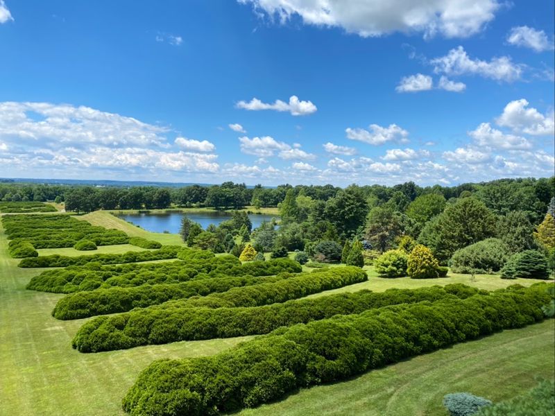 The Dawes Arboretum - Newark