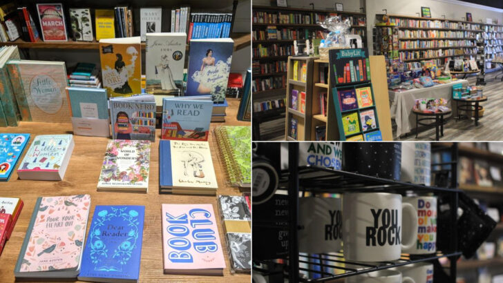 Personalized Recommendations Keep Readers Coming Back To This Georgia Neighborhood Bookstore