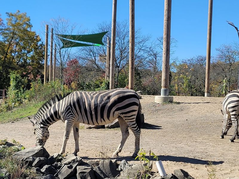 Pittsburgh Zoo & Aquarium